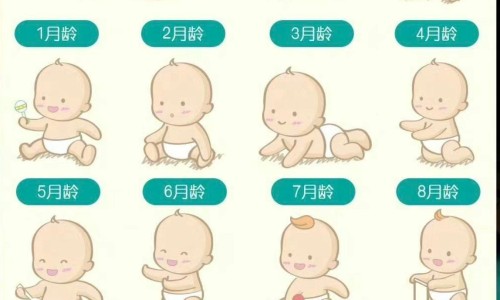 天津格林国际幼儿园学费-循环系统-第四节 先天性心脏病病人的护理网 - 人体结构几何体速写,乙肝患者可以吃茄子吗