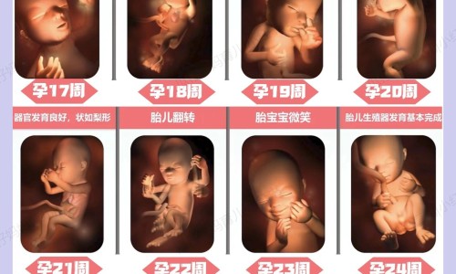 乙肝患者可以吃茄子吗-循环系统-第四节 先天性心脏病病人的护理网 - 人体结构几何体速写,乙肝患者可以吃茄子吗